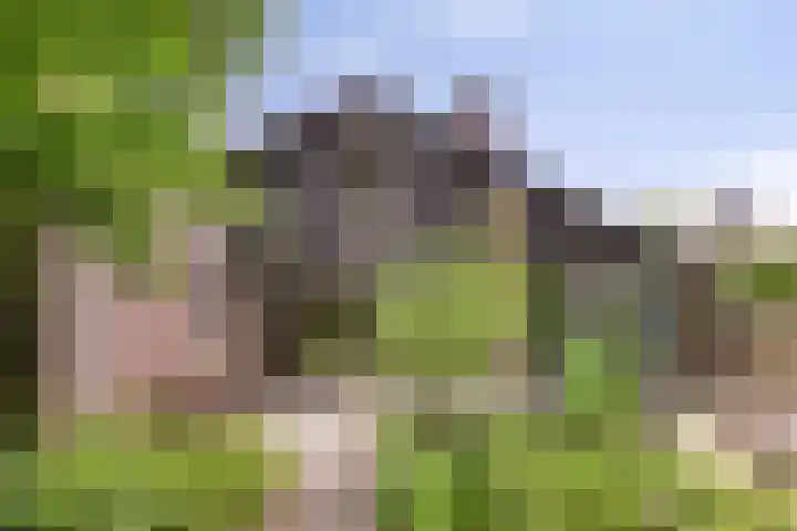 Bremhoeven 34 Rosmalen thumbnail 34
