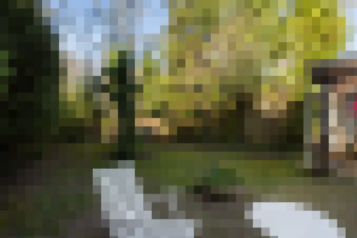 Bremhorstlaan 8 Wassenaar thumbnail 20