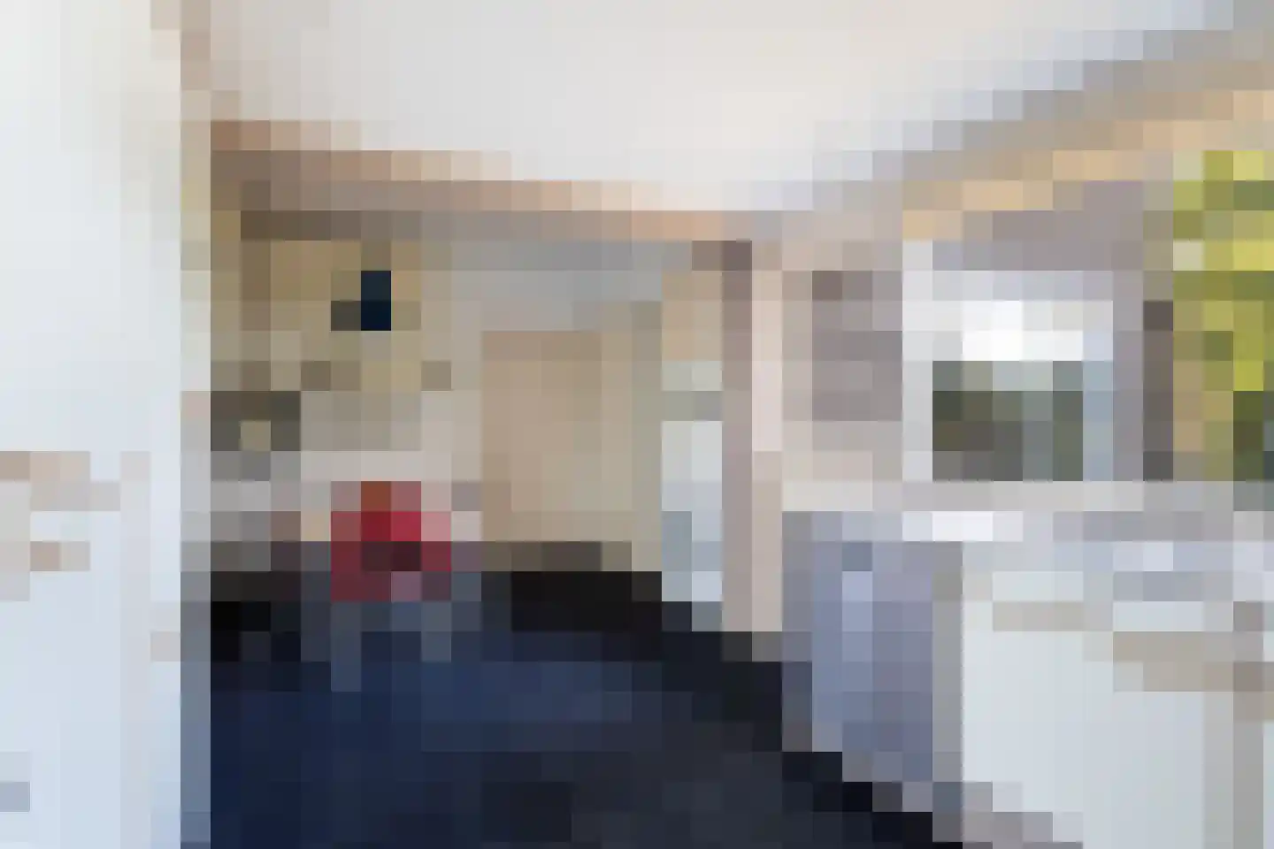 Bremhorstlaan 8 Wassenaar thumbnail 24
