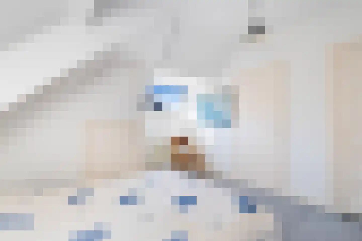 Bremhorstlaan 8 Wassenaar thumbnail 36