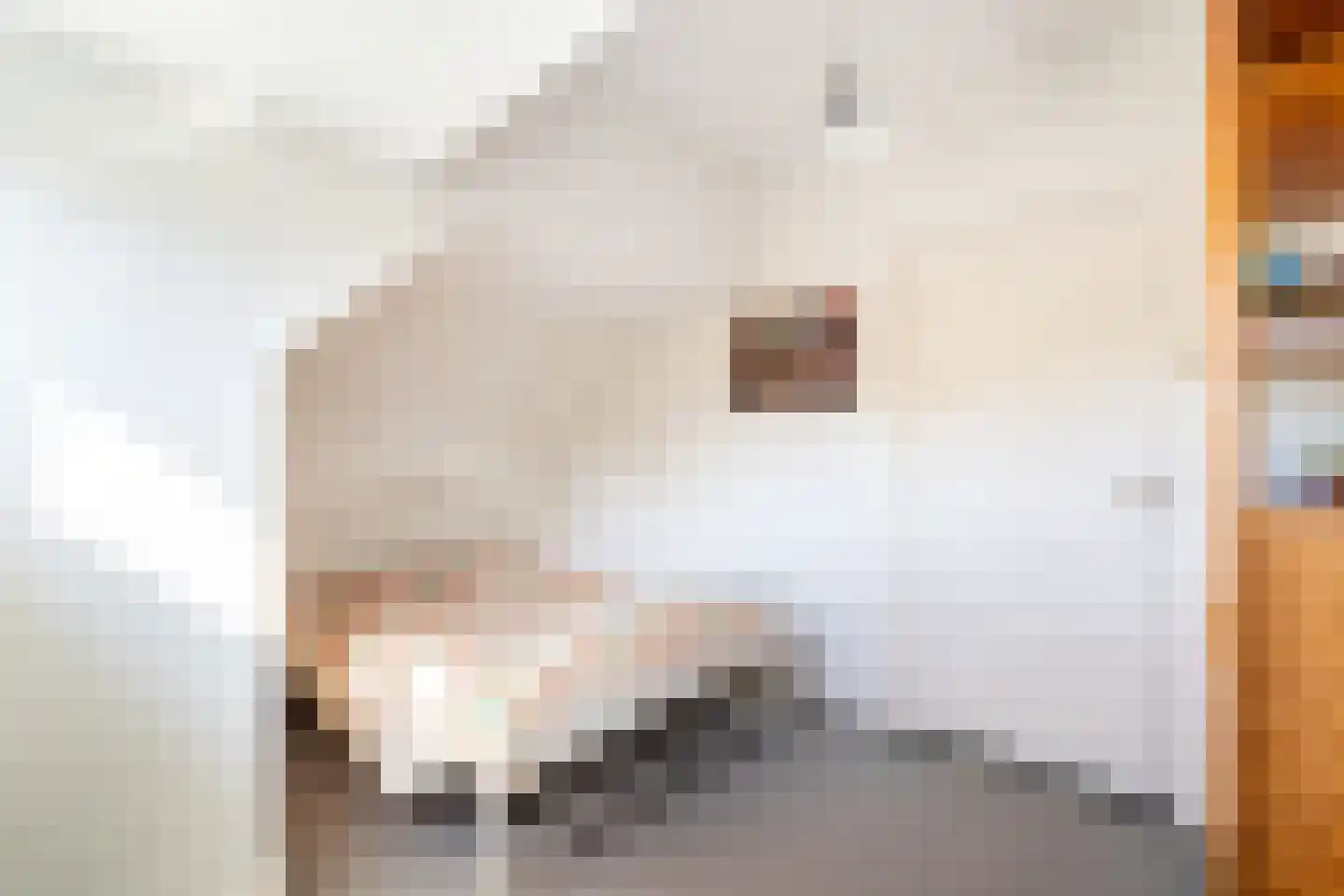 Bremhorstlaan 8 Wassenaar thumbnail 37
