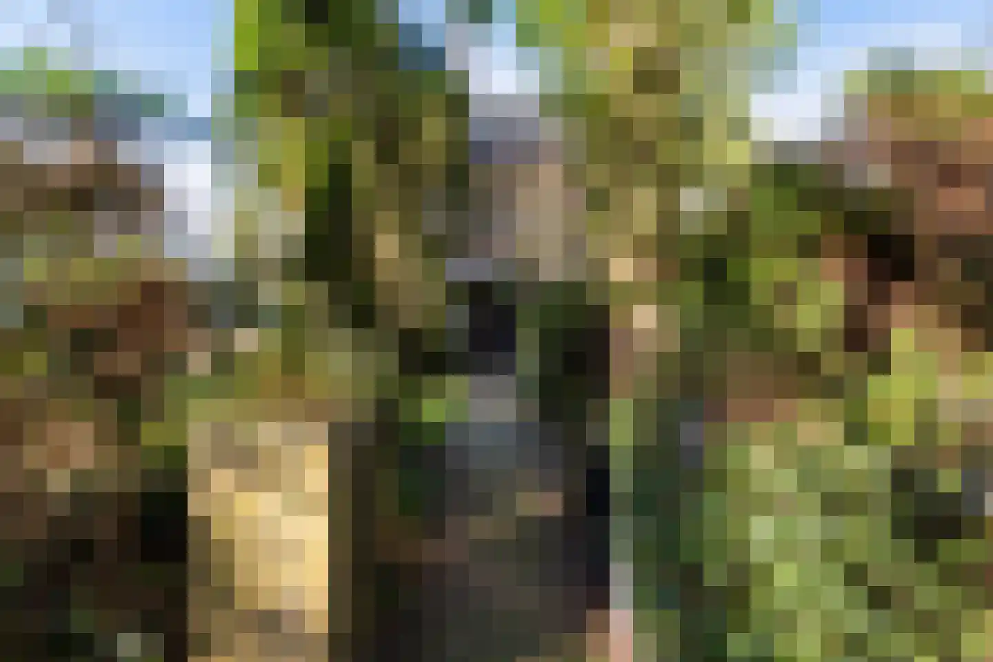 Bremhorstlaan 8 Wassenaar thumbnail 4