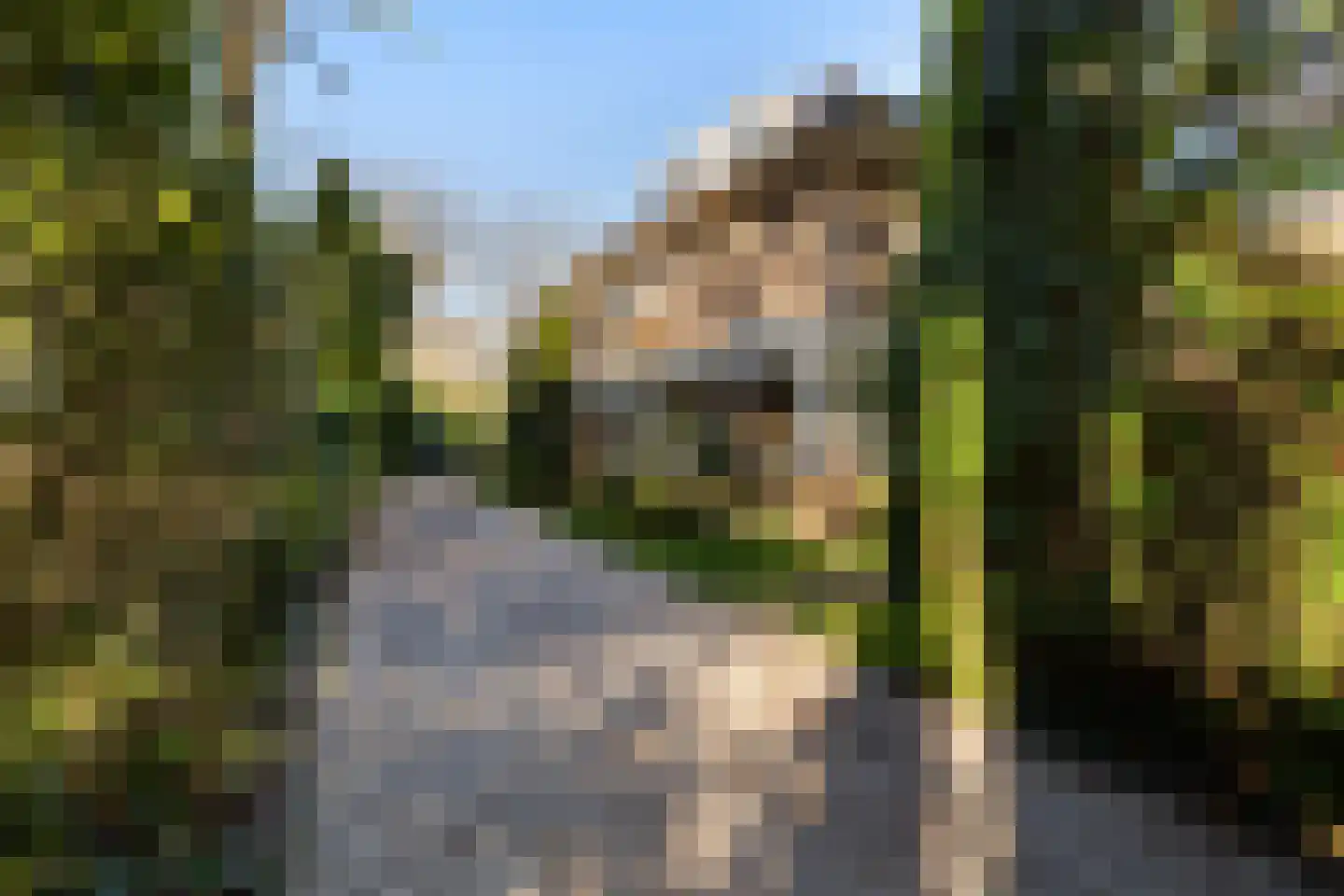 Bremhorstlaan 8 Wassenaar thumbnail 40