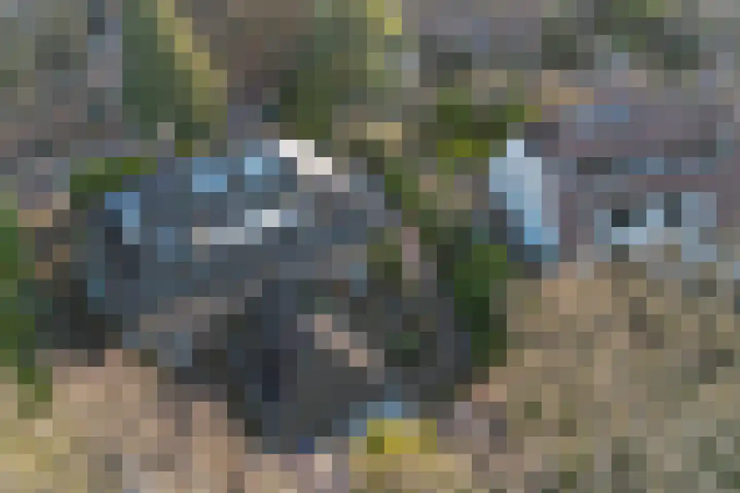 Bremhorstlaan 8 Wassenaar thumbnail 42