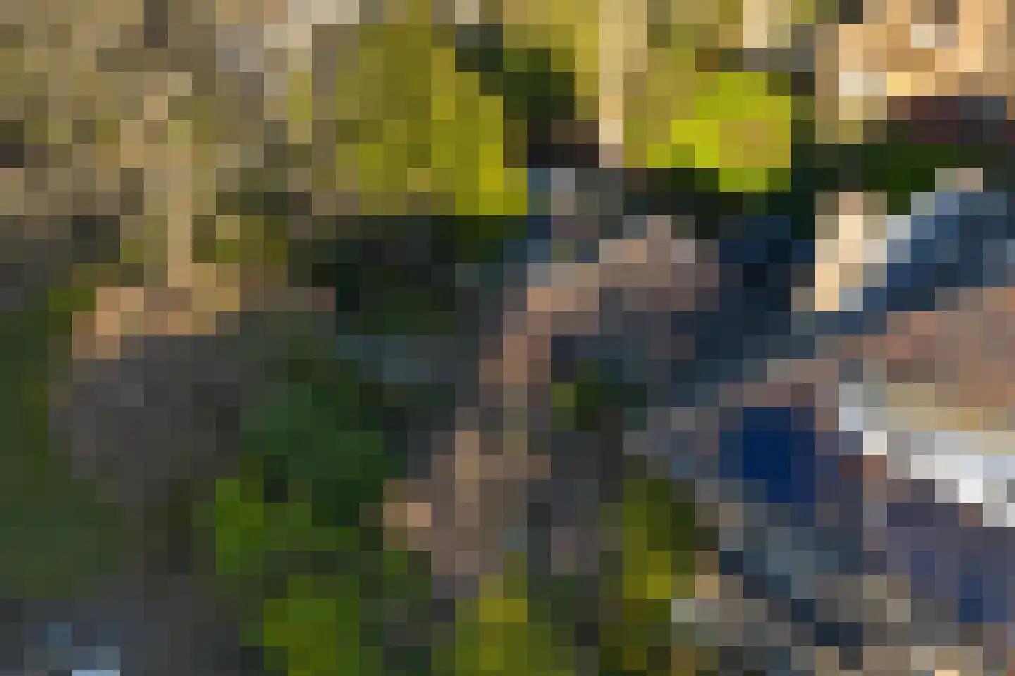 Bremhorstlaan 8 Wassenaar thumbnail 44