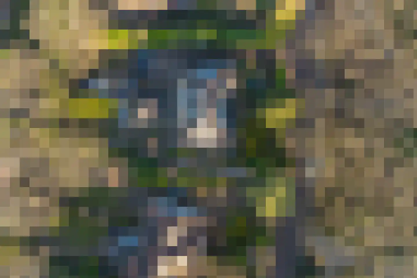Bremhorstlaan 8 Wassenaar thumbnail 45