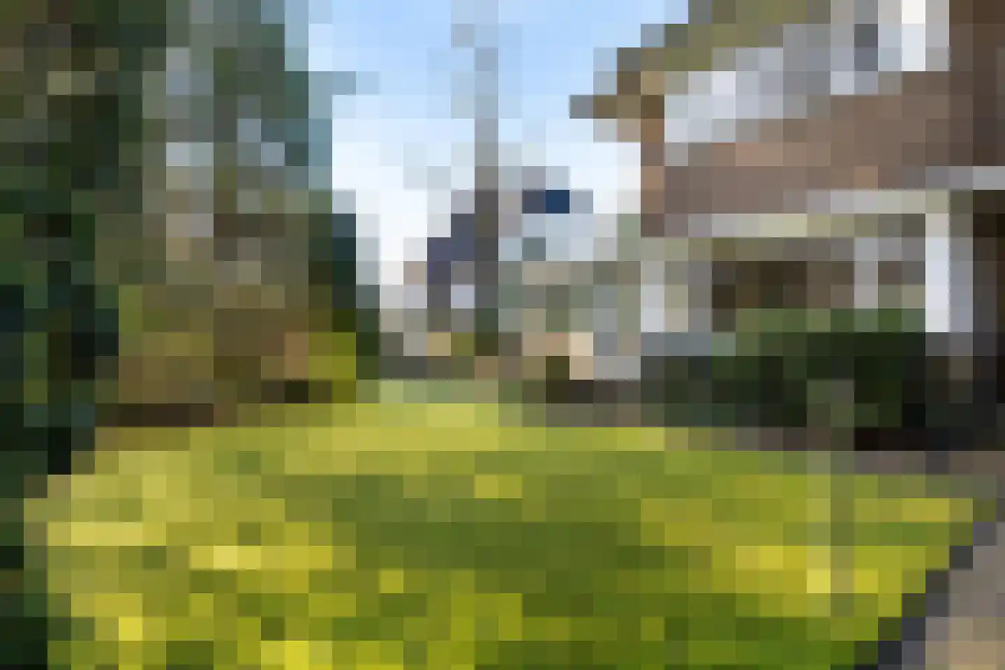Bremhorstlaan 8 Wassenaar thumbnail 5