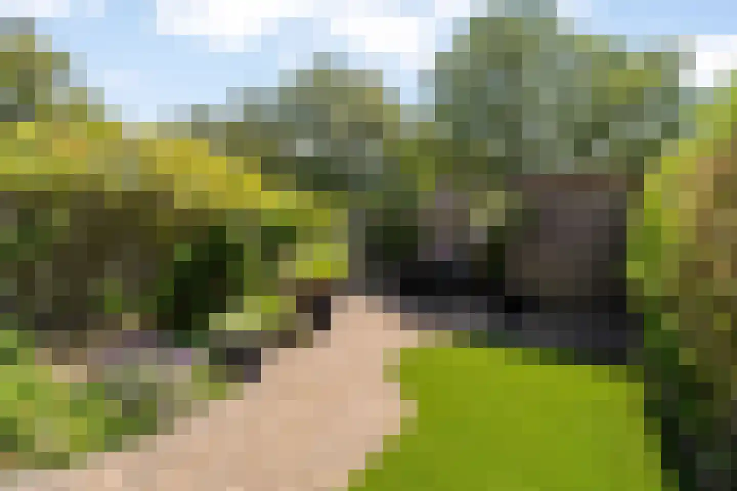 Bremkant 34 Noordwijk thumbnail 10