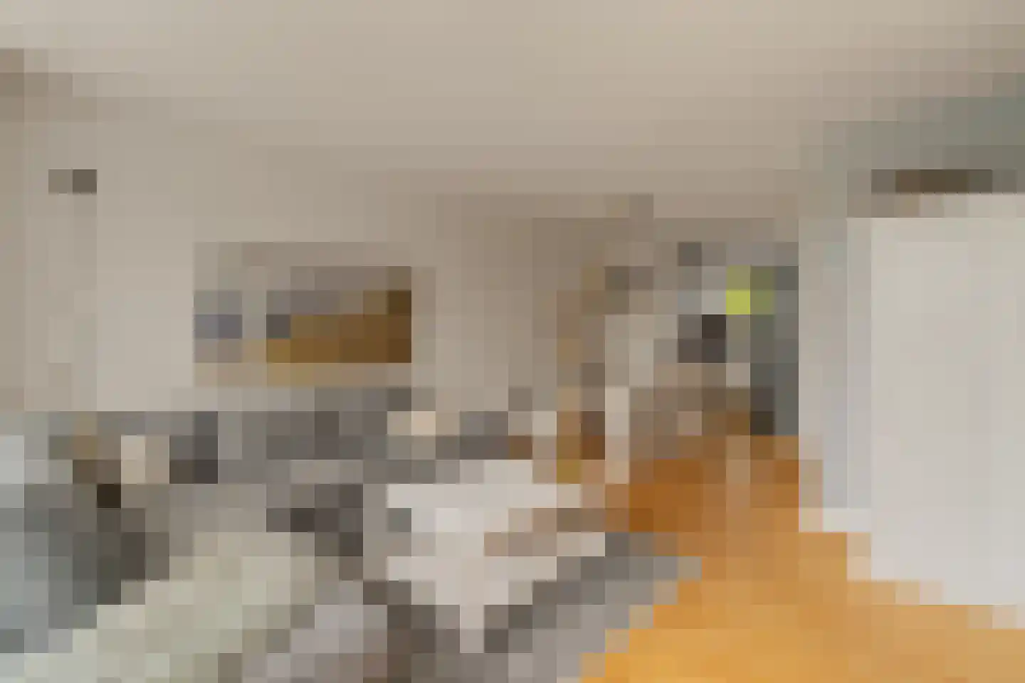 Bremkant 34 Noordwijk thumbnail 12