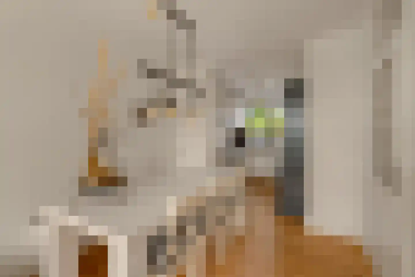 Bremkant 34 Noordwijk thumbnail 13