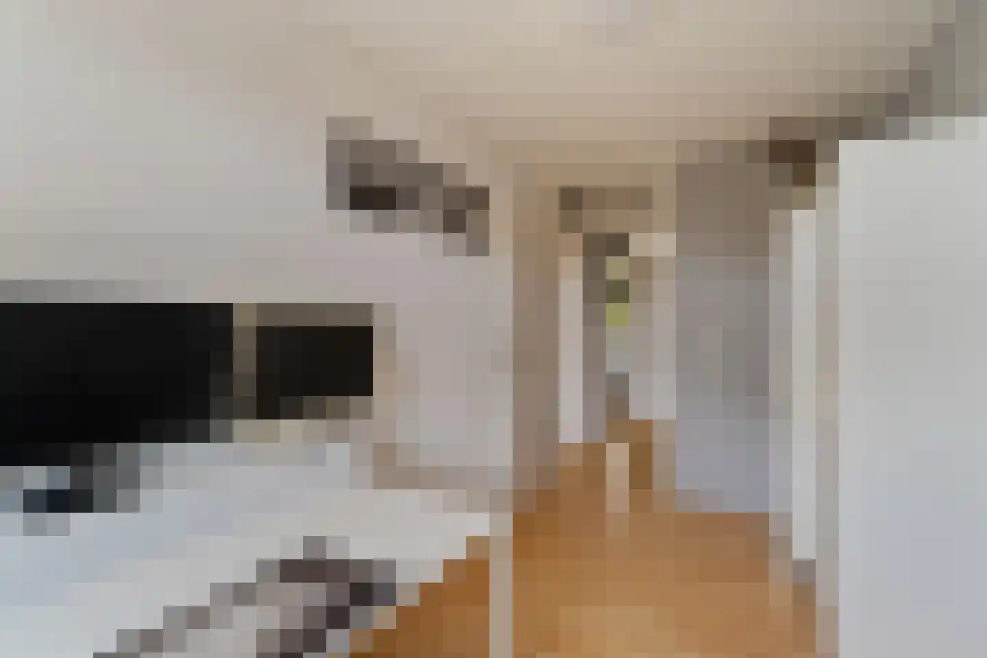 Bremkant 34 Noordwijk thumbnail 26