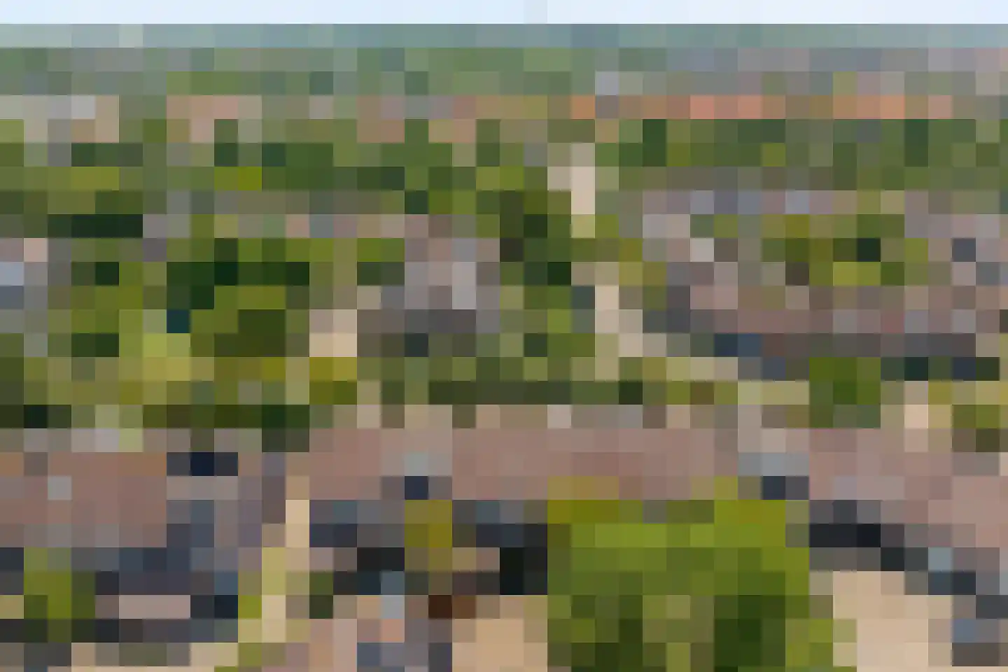 Bremkant 34 Noordwijk thumbnail 32