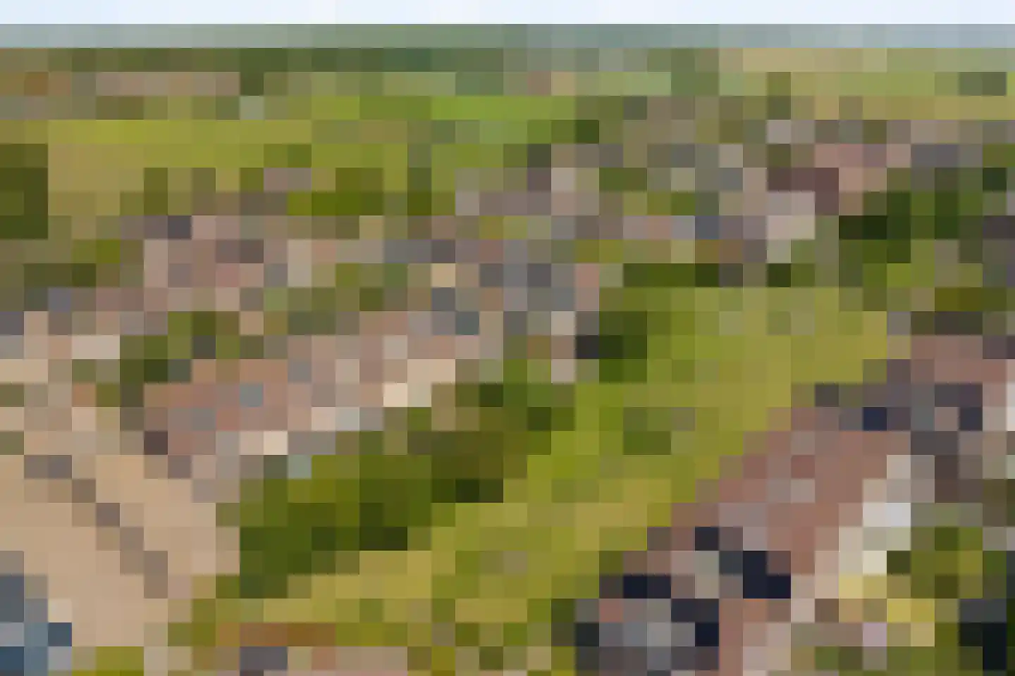 Bremkant 34 Noordwijk thumbnail 36