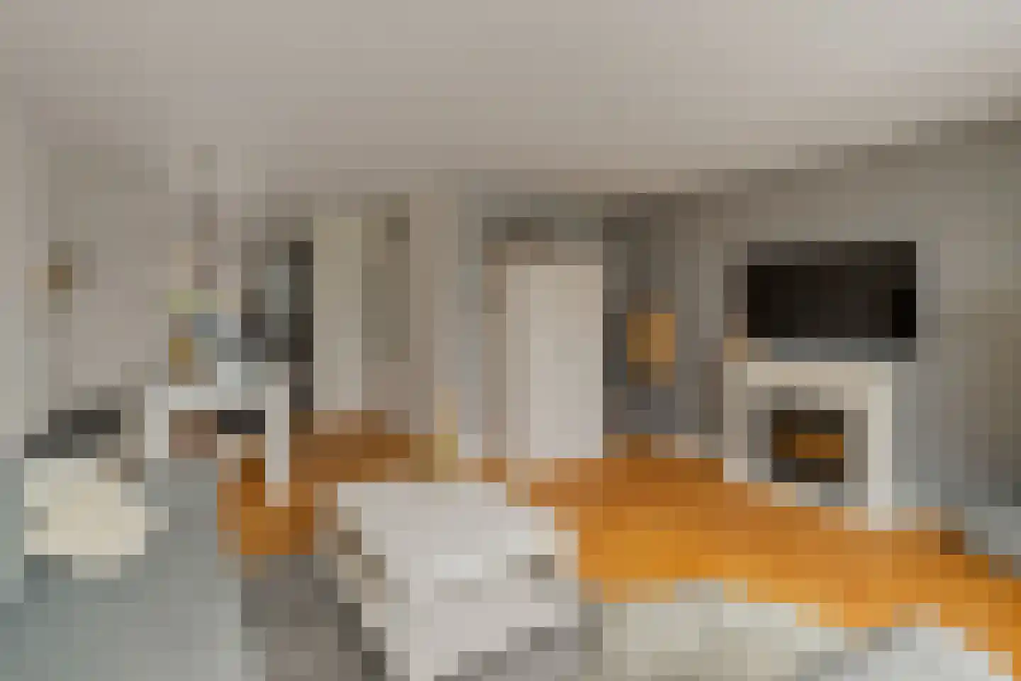 Bremkant 34 Noordwijk thumbnail 5