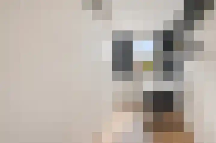 Bremkant 56 Noordwijk thumbnail 16