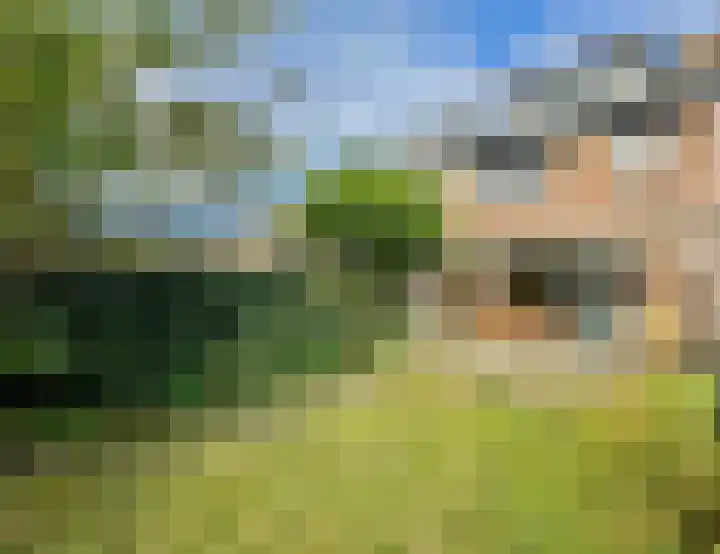 Bremkant 56 Noordwijk thumbnail 31