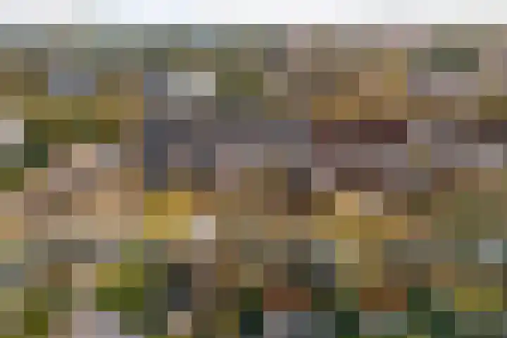 Bremkant 56 Noordwijk thumbnail 34