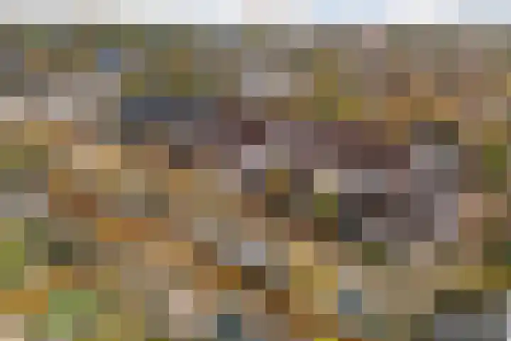 Bremkant 56 Noordwijk thumbnail 37