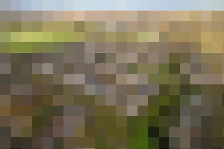 Bremkant 56 Noordwijk thumbnail 38
