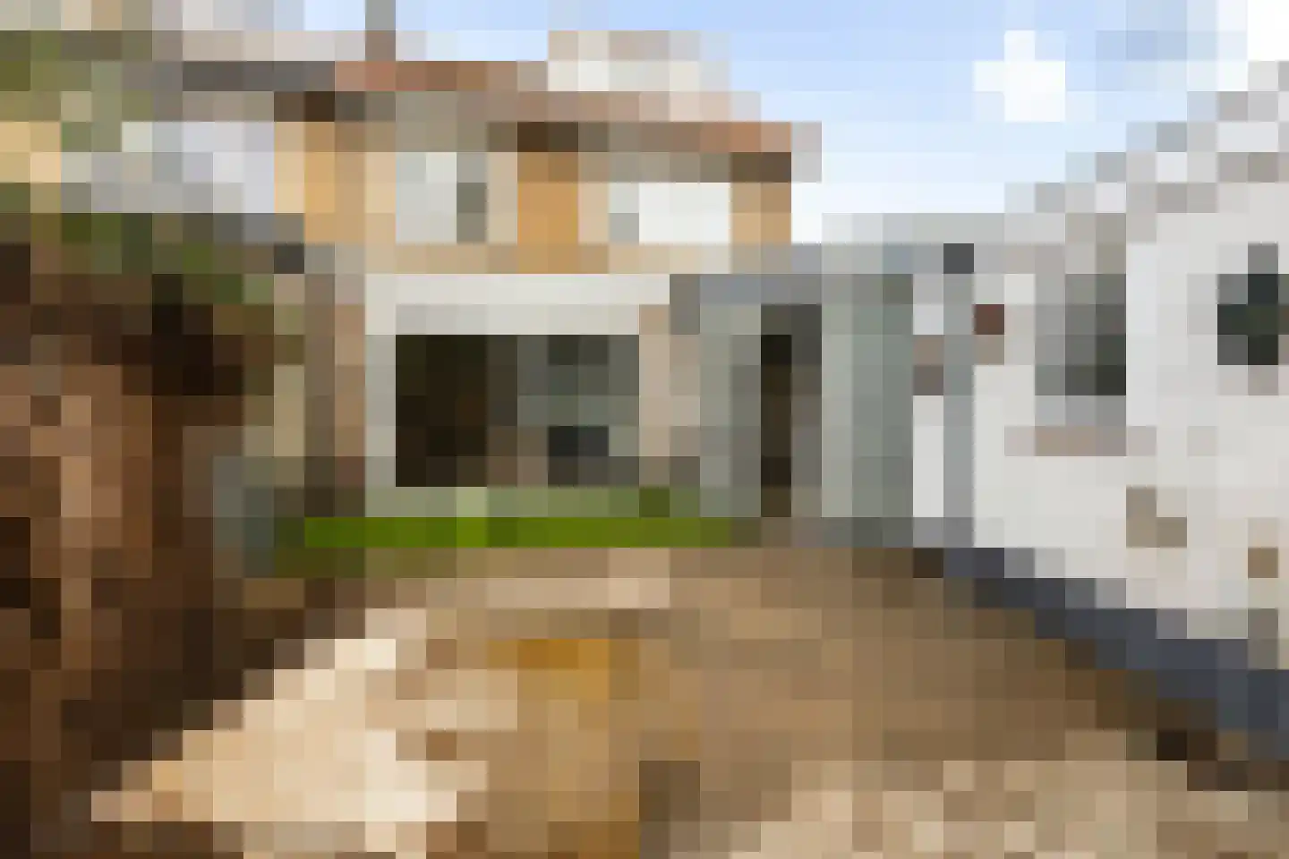 Bremlaan 1 Loosdrecht thumbnail 10