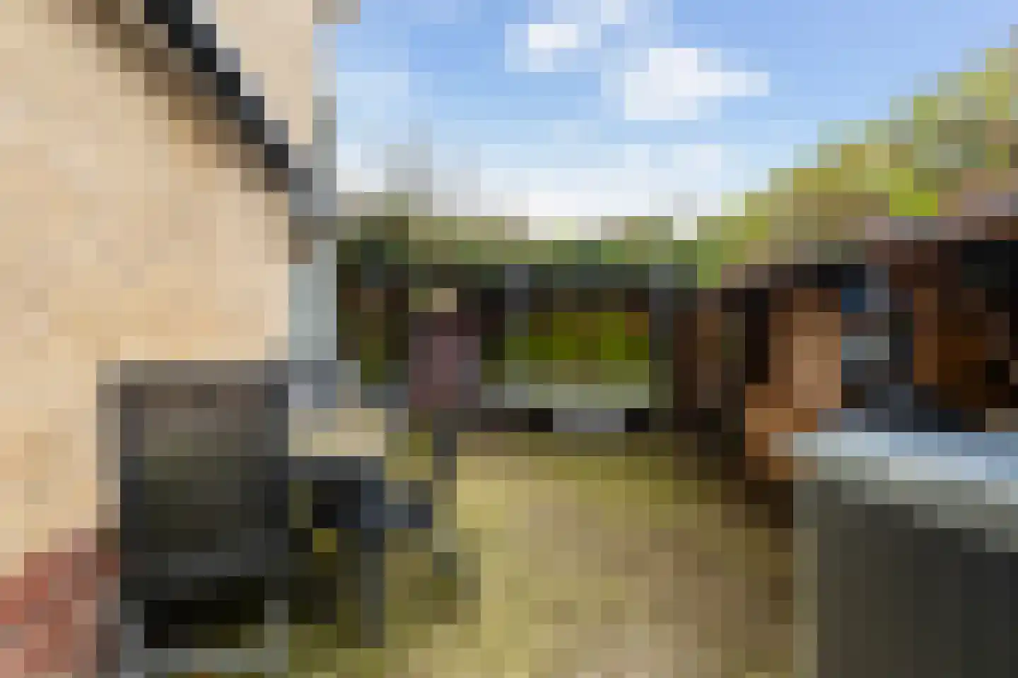Bremlaan 1 Loosdrecht thumbnail 19