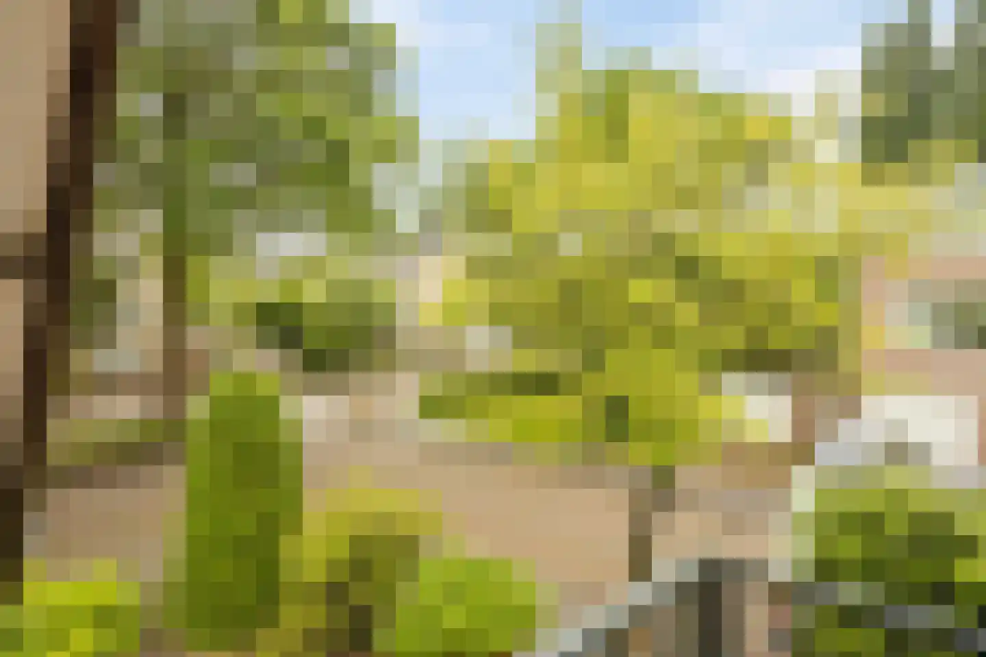 Bremlaan 1 Valkenswaard thumbnail 30