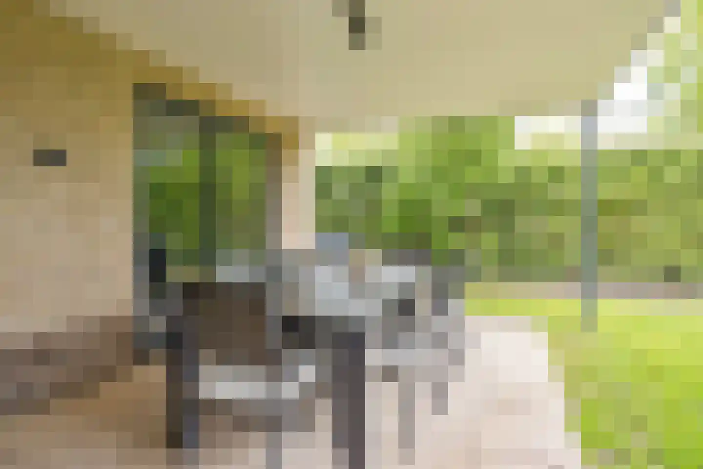 Bremlaan 1 Valkenswaard thumbnail 36