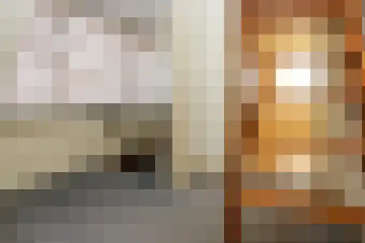 Bremlaan 10 Ede thumbnail 17