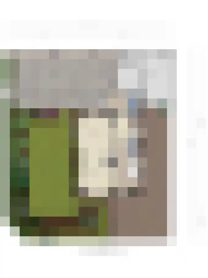 Bremlaan 10 Ede thumbnail 41