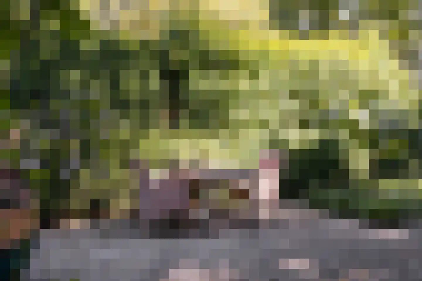 Bremlaan 108 Oss thumbnail 41