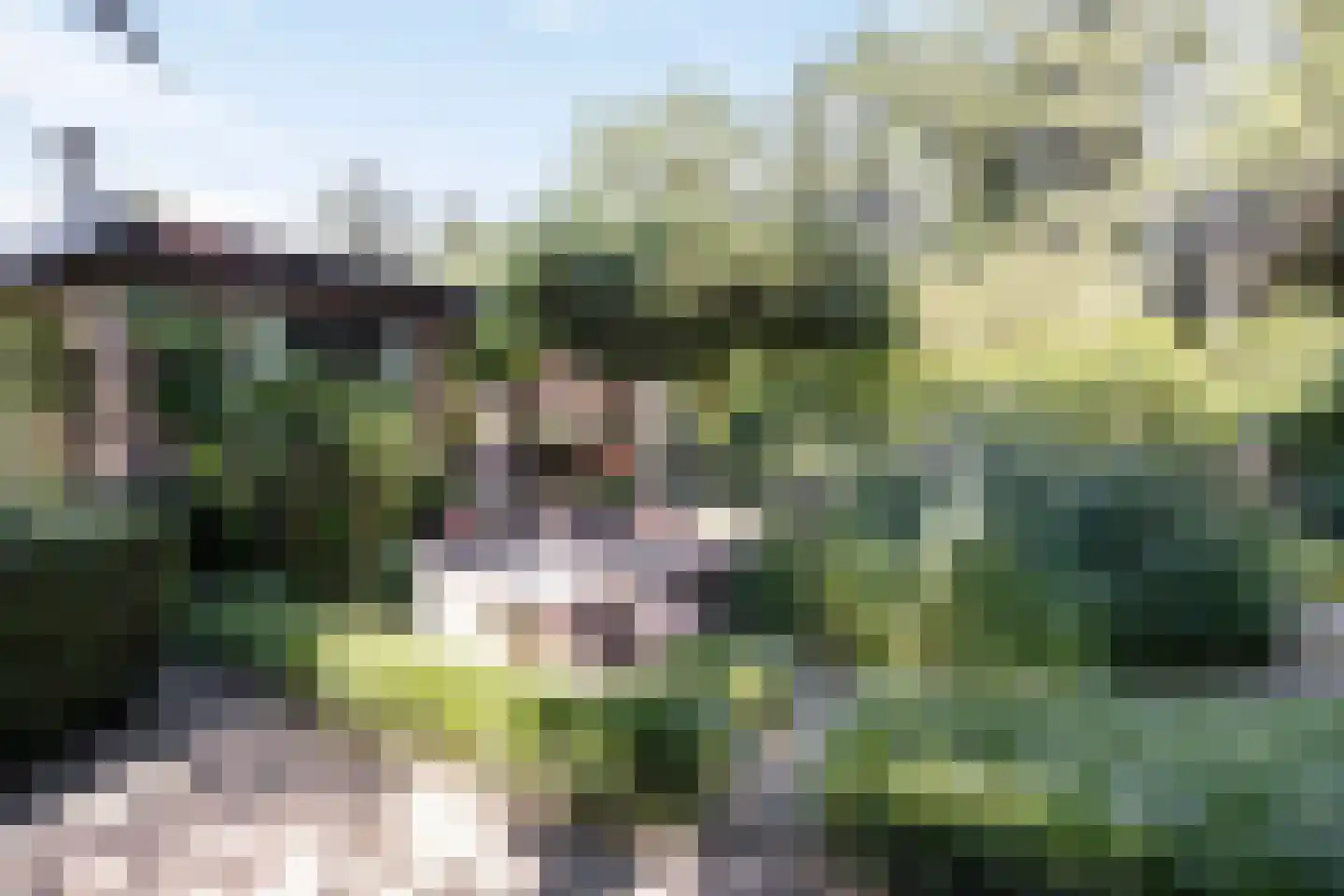 Bremlaan 108 Oss thumbnail 44