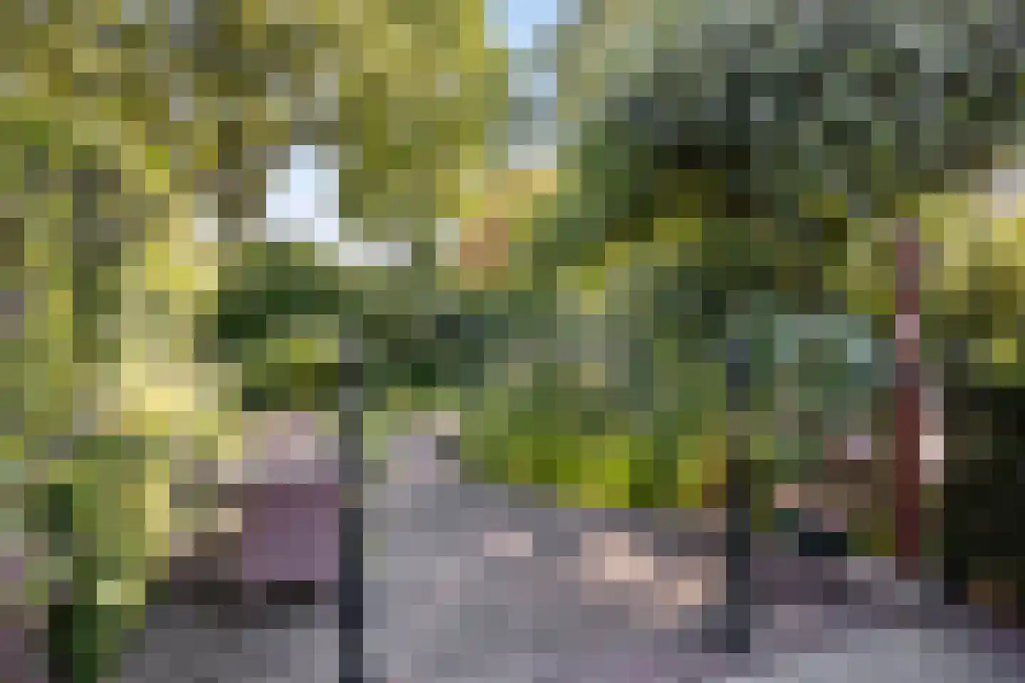 Bremlaan 108 Oss thumbnail 46