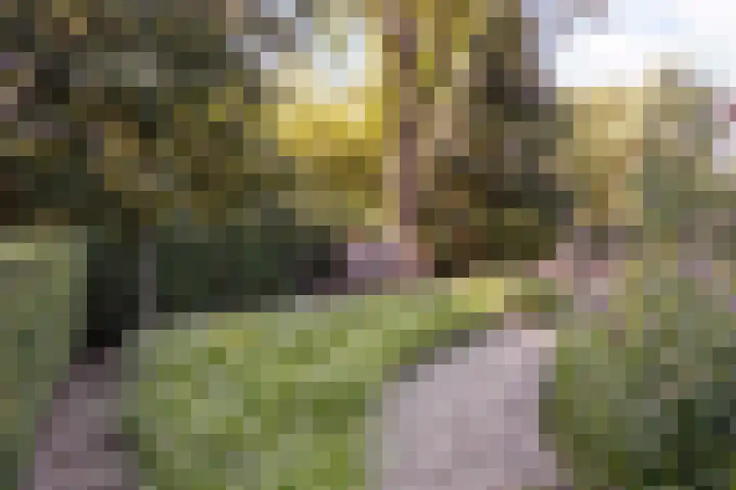 Bremlaan 108 Oss thumbnail 47