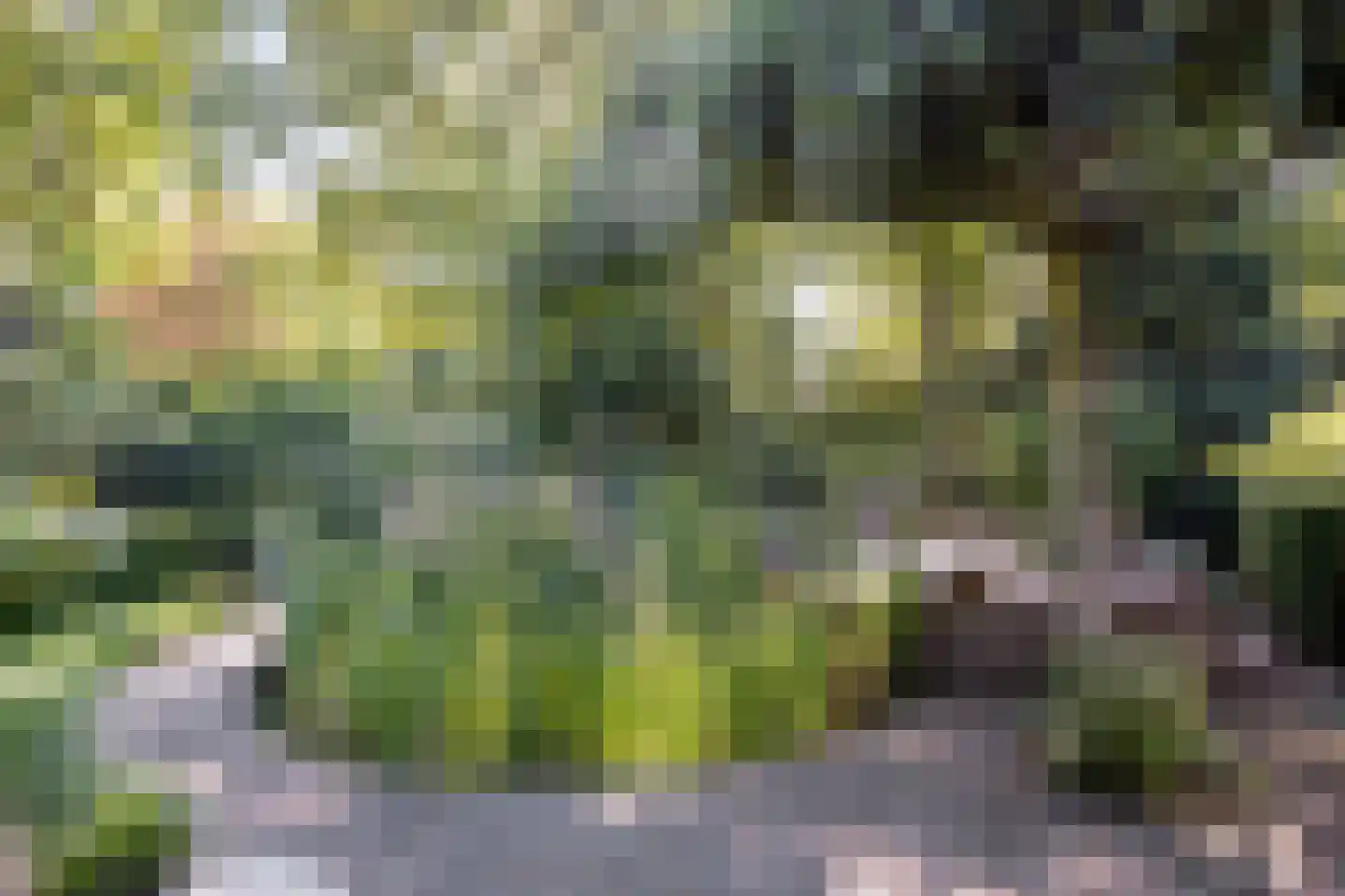 Bremlaan 108 Oss thumbnail 50