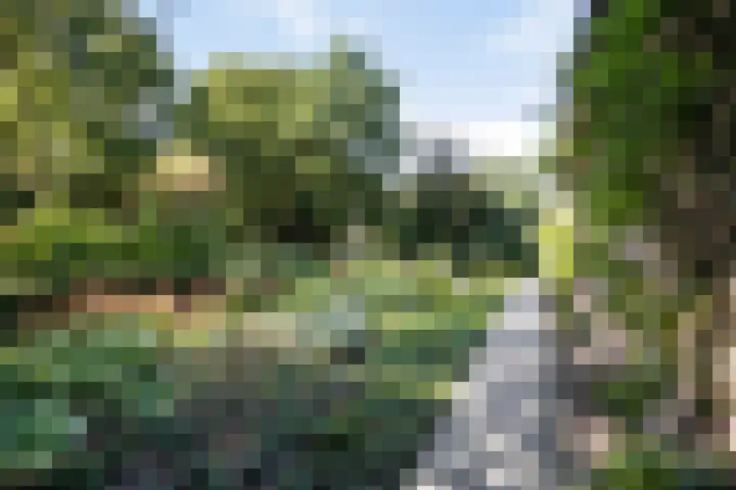 Bremlaan 108 Oss thumbnail 51