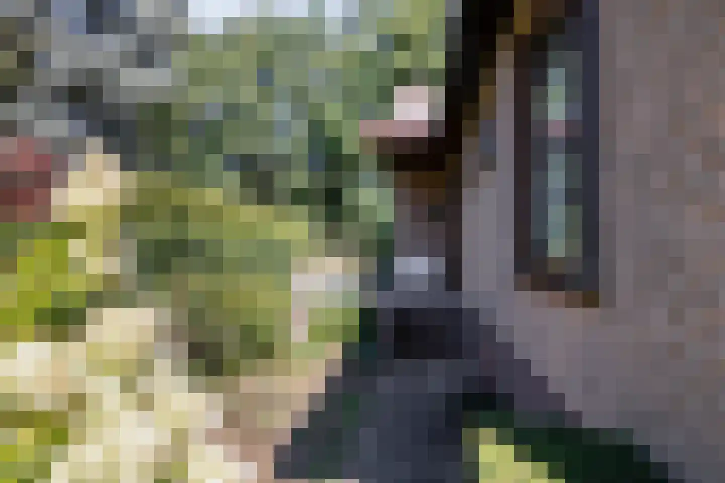 Bremlaan 108 Oss thumbnail 52