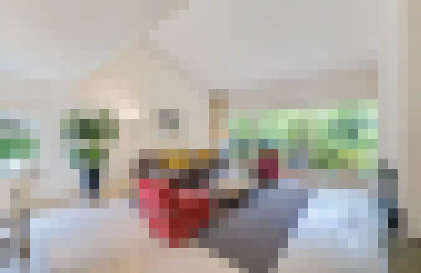 Bremlaan 12 Hilversum thumbnail 13