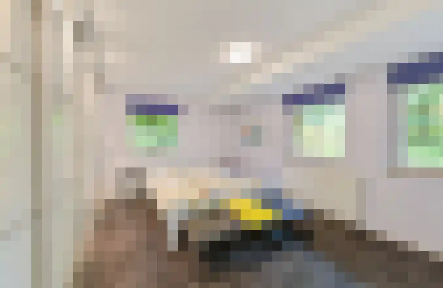 Bremlaan 12 Hilversum thumbnail 18