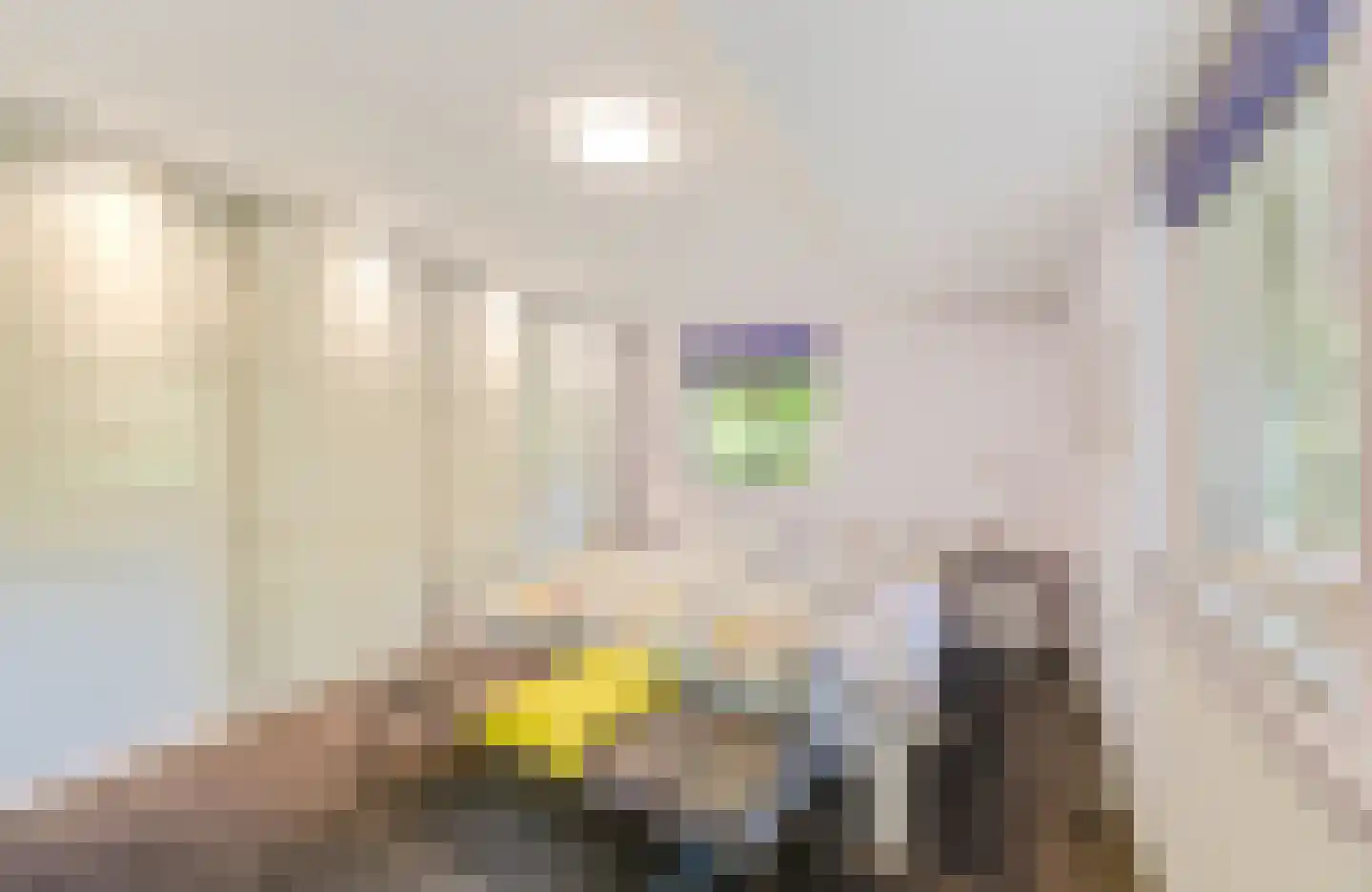 Bremlaan 12 Hilversum thumbnail 19