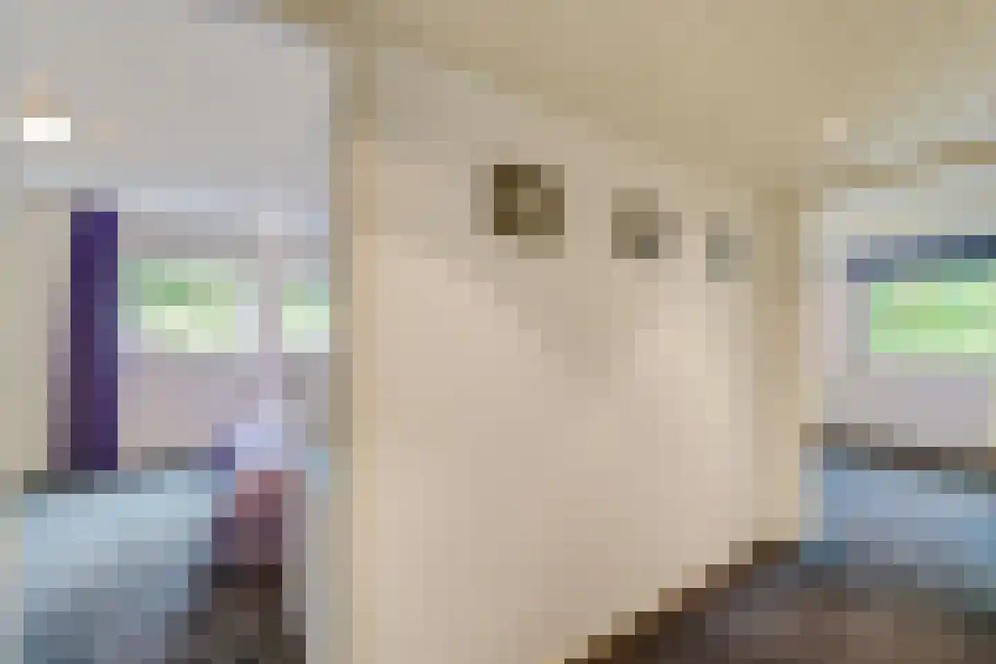 Bremlaan 12 Hilversum thumbnail 24