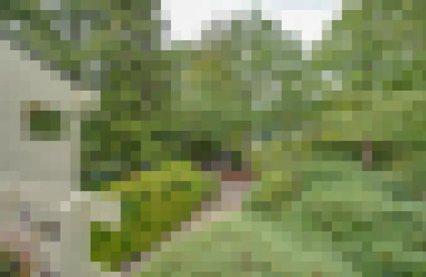 Bremlaan 12 Hilversum thumbnail 43