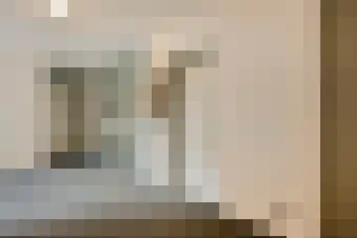 Bremlaan 12 Oss thumbnail 10