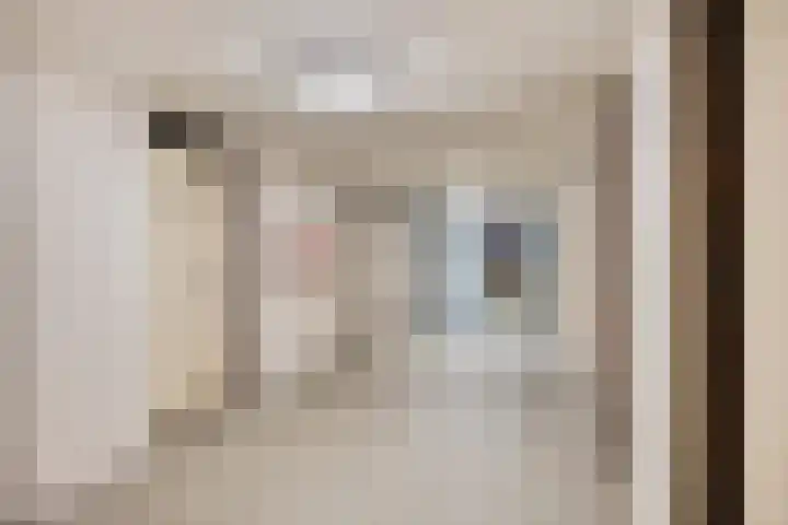 Bremlaan 12 Oss thumbnail 12
