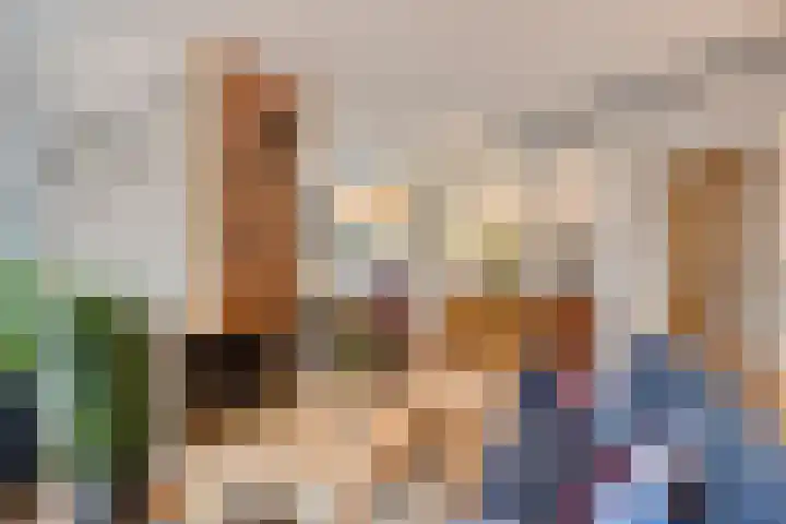 Bremlaan 12 Oss thumbnail 17