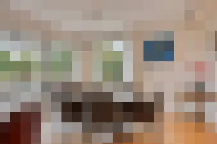 Bremlaan 12 Oss thumbnail 20