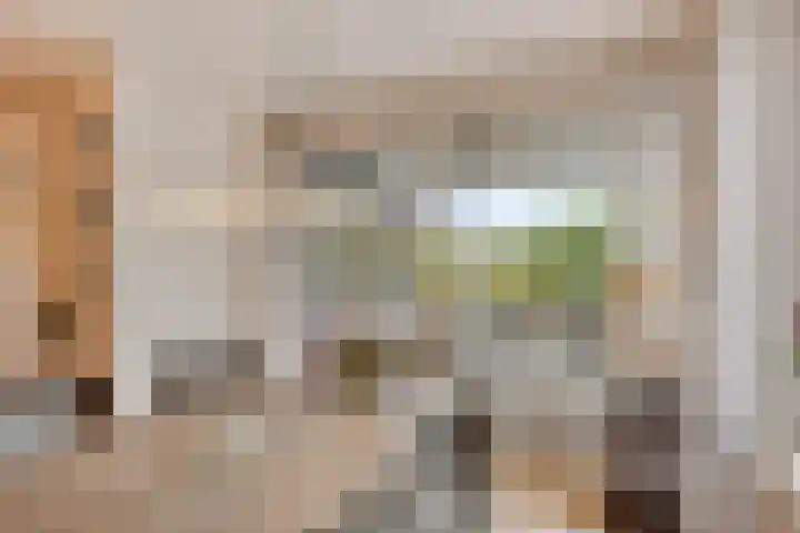 Bremlaan 12 Oss thumbnail 21