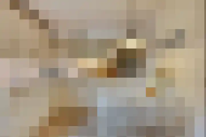 Bremlaan 12 Oss thumbnail 24
