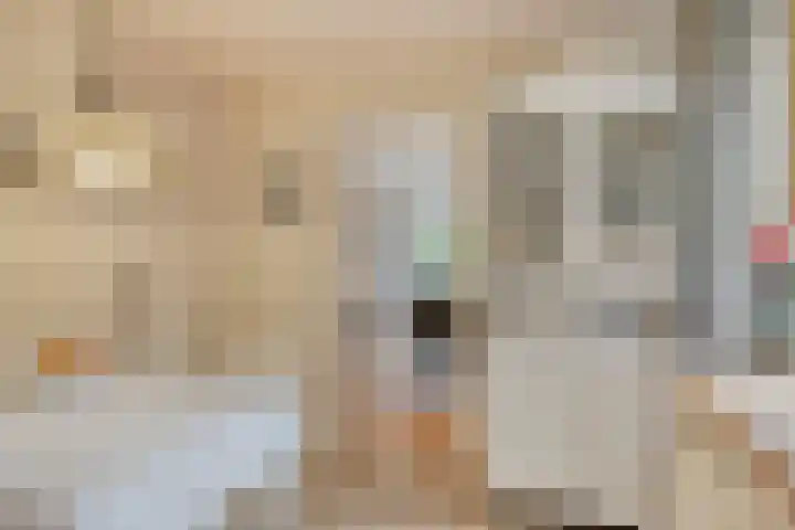 Bremlaan 12 Oss thumbnail 25