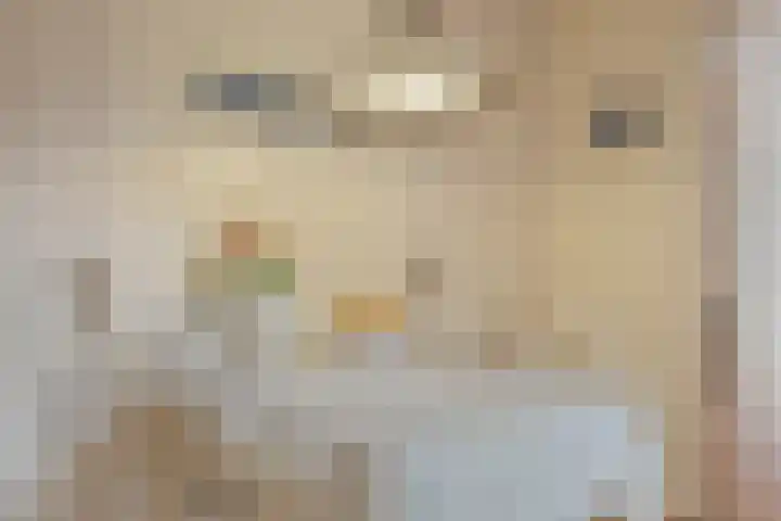 Bremlaan 12 Oss thumbnail 26