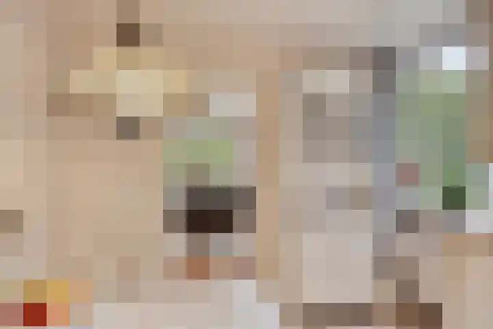 Bremlaan 12 Oss thumbnail 27